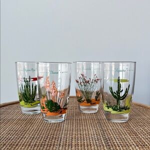 Vintage Arizona Cactus Glasses Set of 4 Libbey